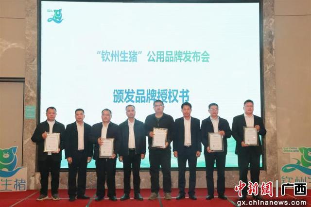 图为颁发品牌授权书。主办方 供图