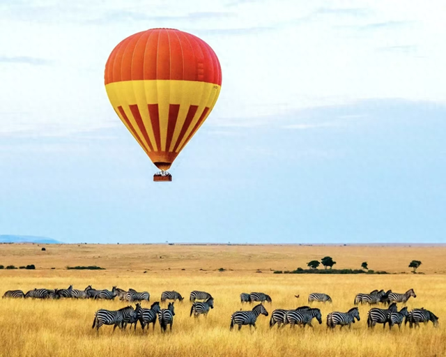 雅阁酒店集团出海范例： 内罗毕雅阁大酒店开业两周年纪实