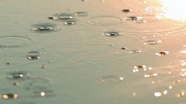 杨超越新剧太阳雨片花曝光，猫的树执导画面唯美