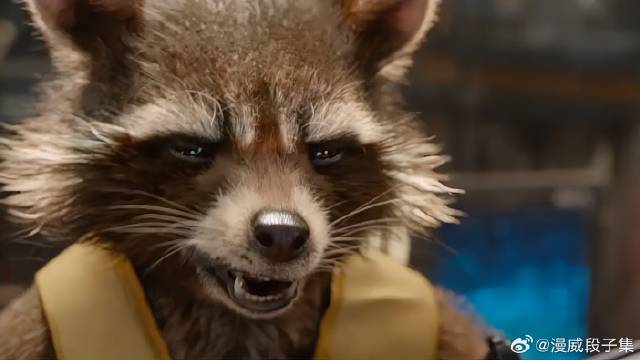 小浣熊规划越狱，结果计划没说完，格鲁特就开始了