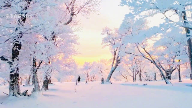 萨克斯演奏《雪落下的声音》电视剧（延禧攻略）片尾曲，太好听了 音乐学人