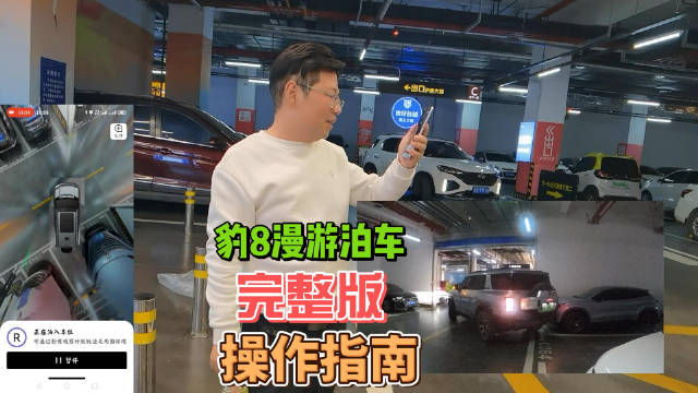 豹8漫游泊车，完整操作指南