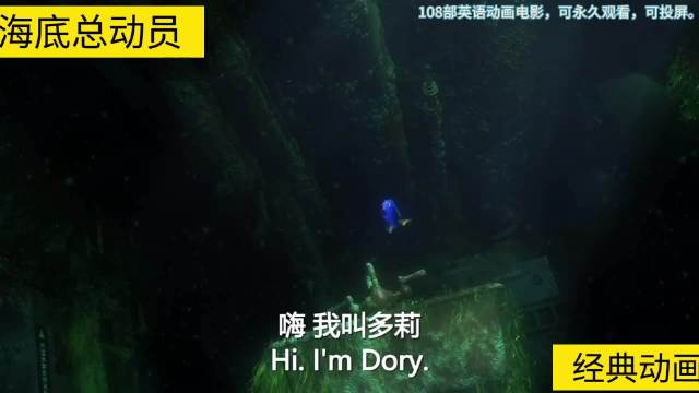 因为一个片段，看了整部电影， 《海底总动员》3