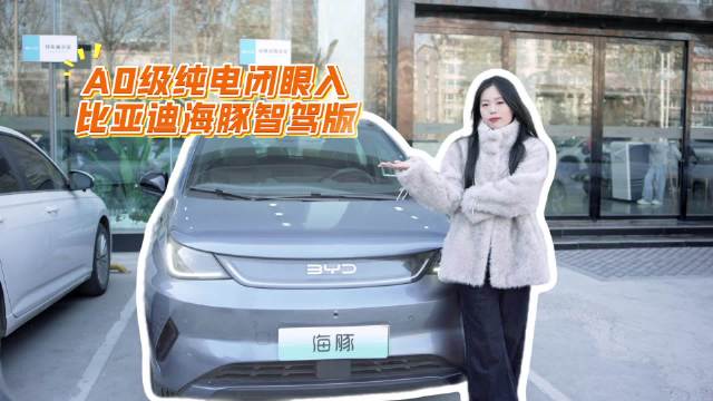 视频：A0级纯电闭眼入—比亚迪海豚