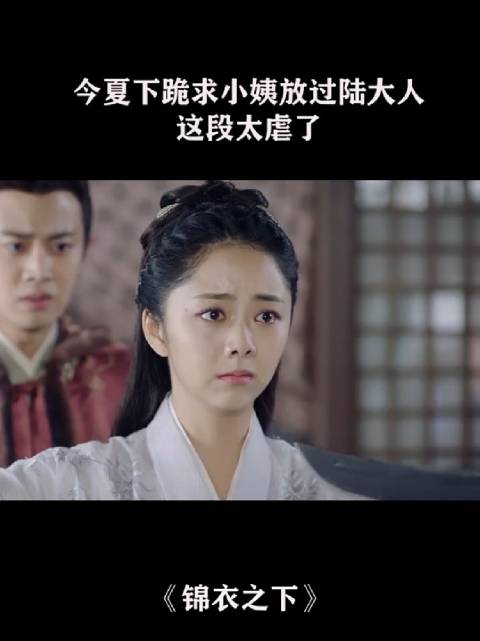 锦衣之下 陆大人父亲去世了！陆大人现在是没爹没娘了！