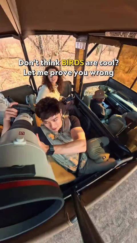 拍摄惊艳鸟片需超人体力毅力时间运气及索十万镜头