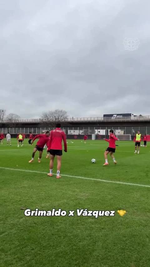 格里马尔多与巴斯克斯西班牙连线引期待