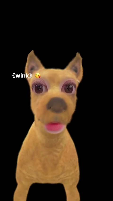 哈哈哈，变成小狗狗的露露毫米