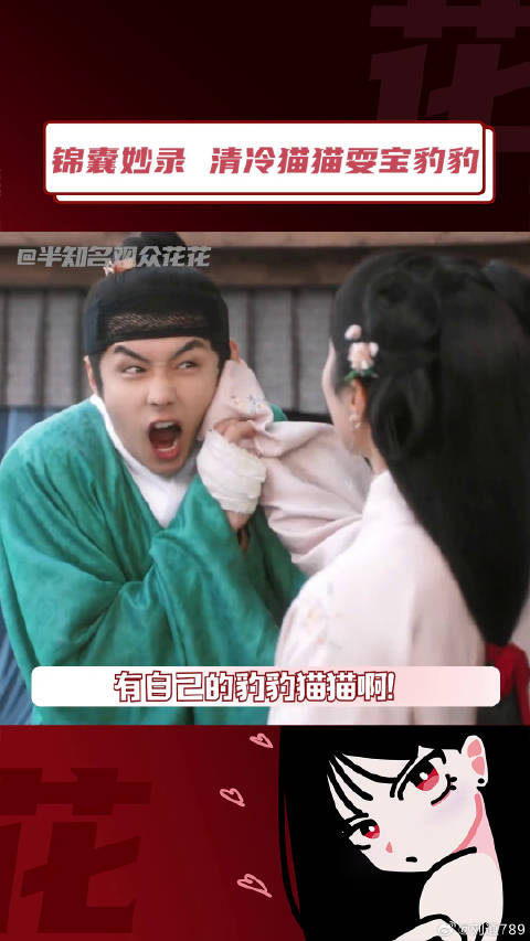 锦囊妙录清冷猫猫耍宝豹豹 超级自然的日常相处方式和互动啊！翟子路