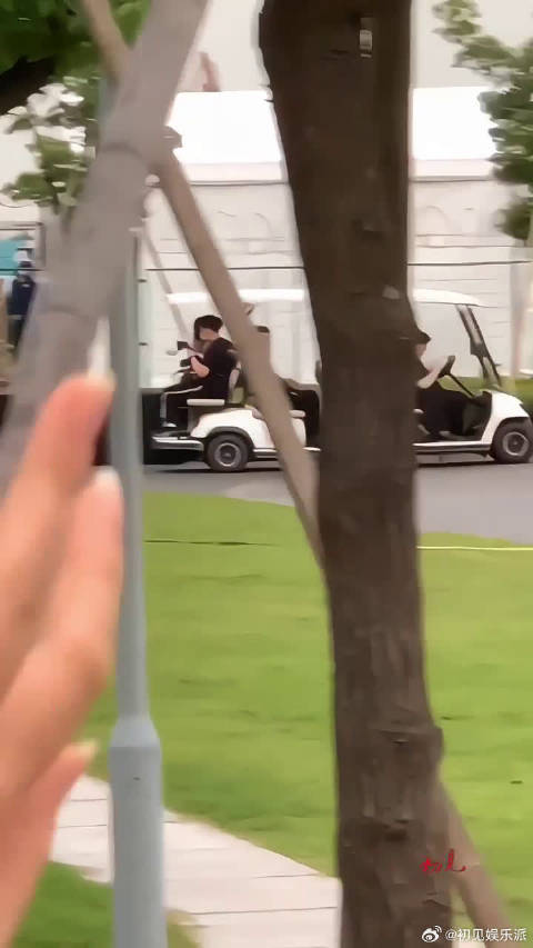 朱一龙的花粉尖叫