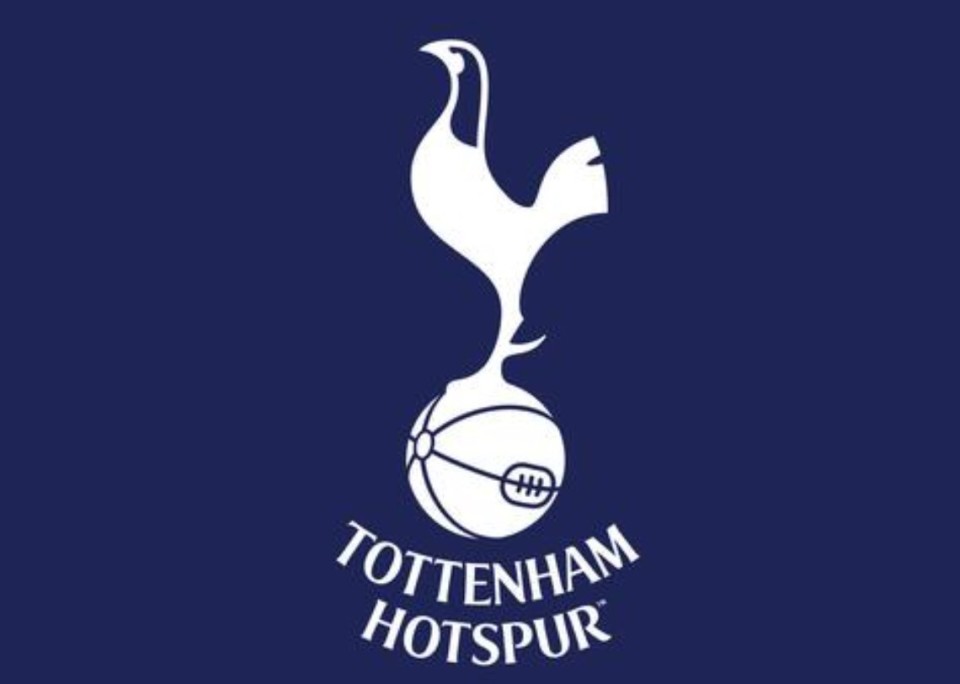 德转热刺球员身价变化：范德芬等5人上涨，西蒙斯等16人下跌