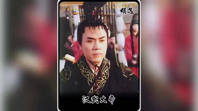 汉武帝击败匈奴实现梦想，卫青霍去病立奇功