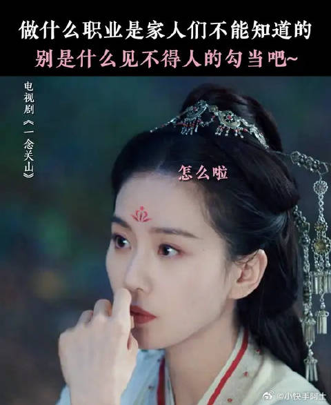 我们仍未知道宁远舟在安都到底是干什么的