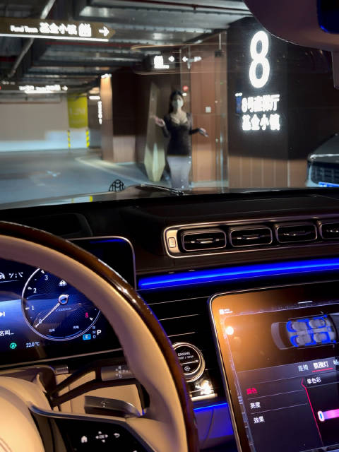 顶级迈巴赫少奶奶挥手上车素材