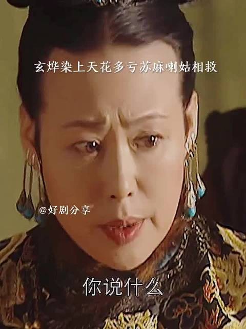 玄烨染上天花，多亏苏麻喇姑相助， 雍正王朝