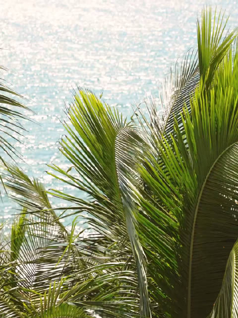 第七届海南岛国际电影节金椰奖评委会大奖《桑格豪森的渴望》主创致意影迷