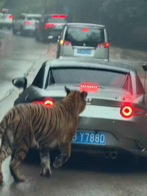 小涂同学的作品