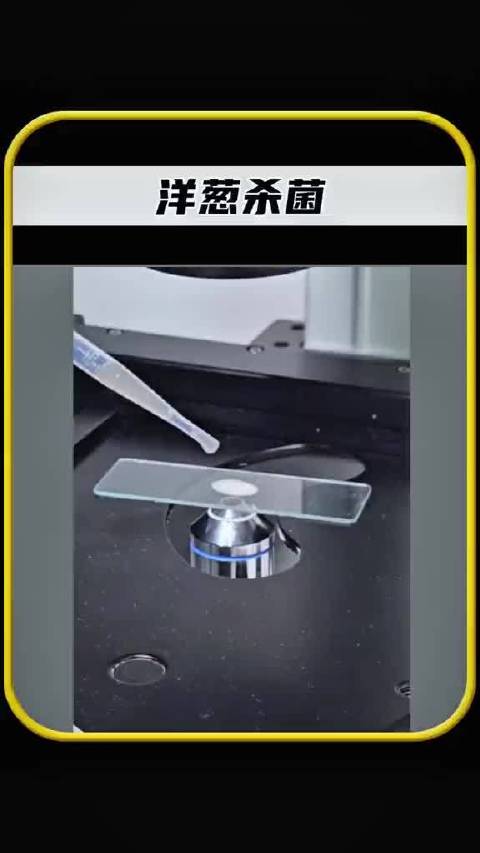 洋葱含大蒜素可抑制部分寄生虫但效果有限