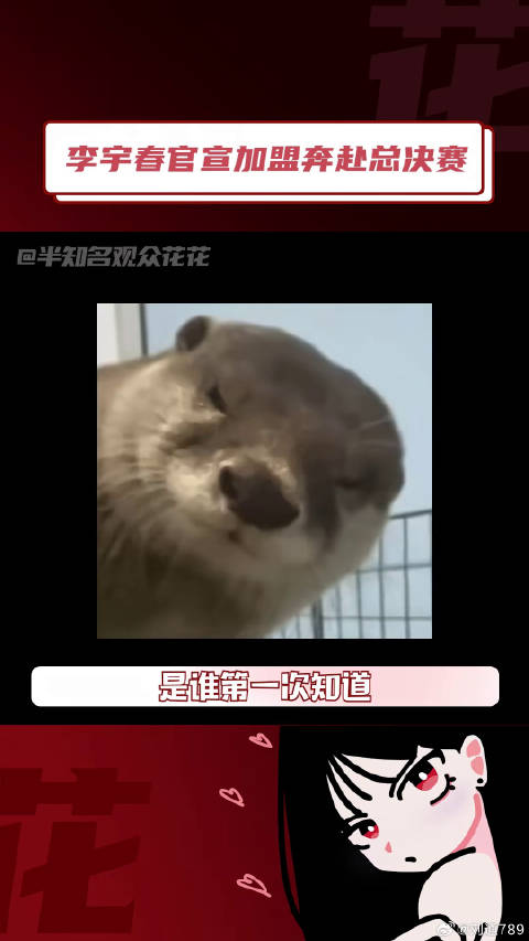 奔赴万人现场总决赛名单 live 微博VC计划