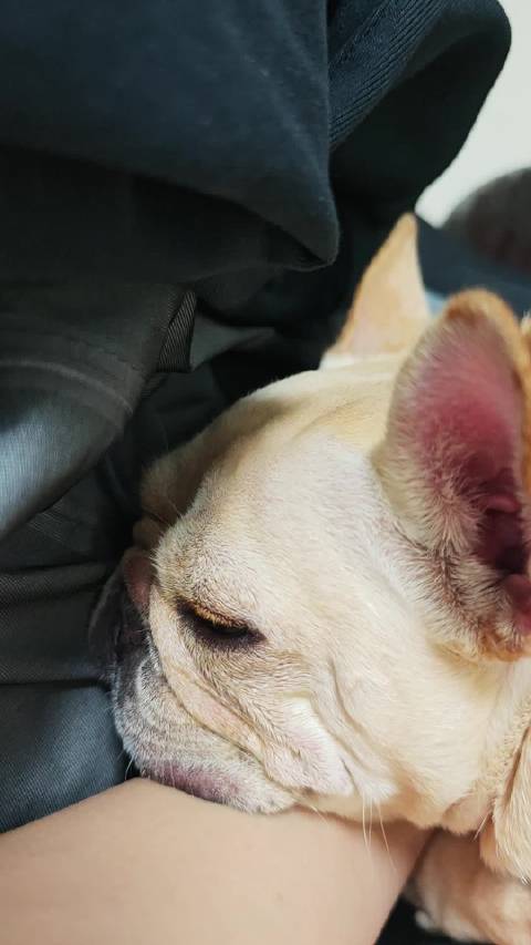 谁家拖拉机落这儿了