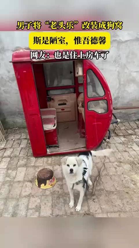 狗狗也是住上房车了