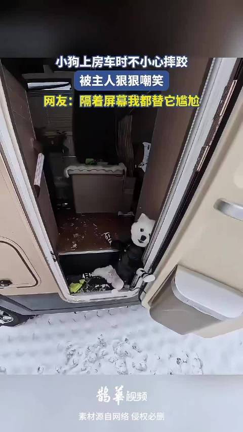 小狗上房车时不小心摔跤，被主人狠狠嘲笑 ！