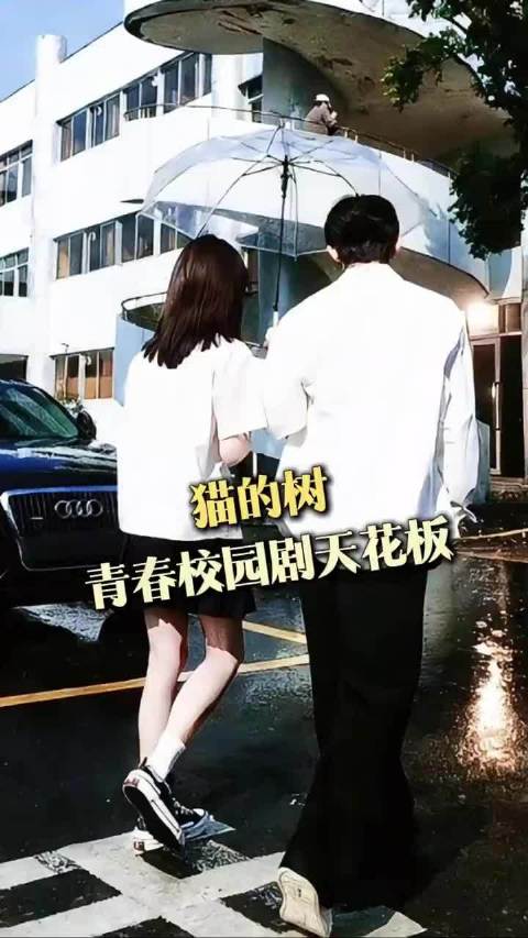 猫的树还是太权威了！杨超越 校园 青春 群像