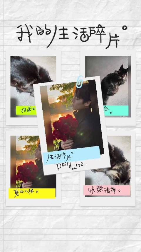 生活碎片mini vlog 我哥和他的爱喵一样帅气可爱许凯史无名