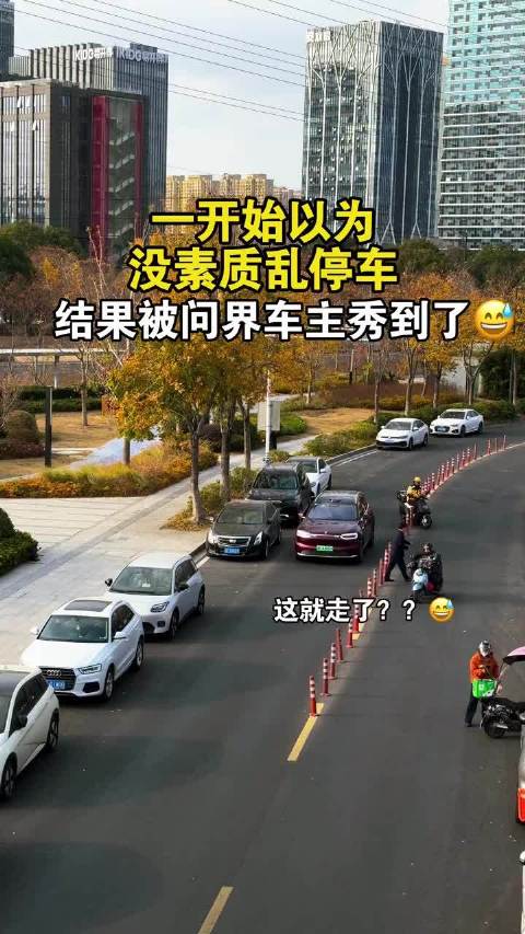 网友点赞问界自动泊车功能,称其无车位线仍可停车