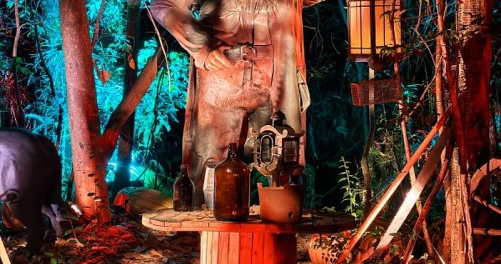 限时六个月的“魔法生意”！中国首个正版“哈利·波特禁林”试水深圳首店经济