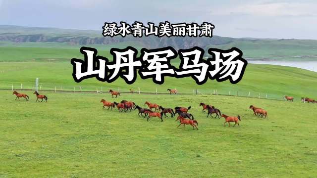 祁连牧歌里的千年驰骋 —— 山丹军马场寻踪