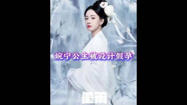 不能生育的公主却突然有孕，怎料却空欢喜一场