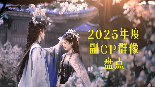 2025年度副CP群像盘点
