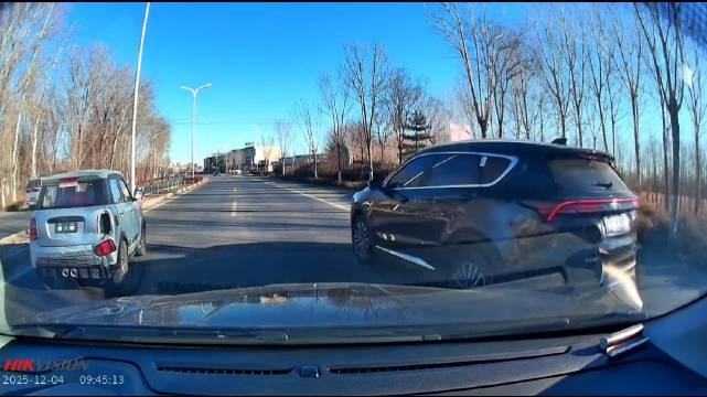 虽然代步车走位非常迷，可大哥喇叭都快按碎了，也舍不得刹车也真是服了