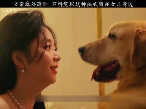 父亲意外去世，不料以这种方式留在女儿身边 再见李可乐/谭松韵/吴京