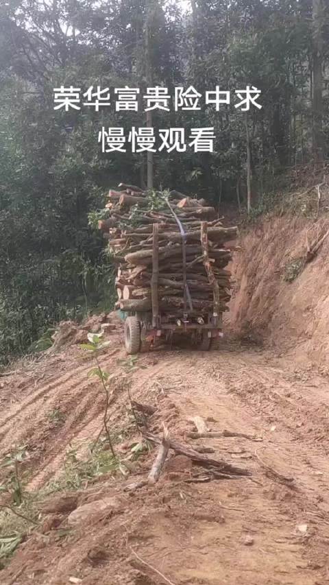 泥泞窄路原地掉头，拖拉机司机神乎其技！