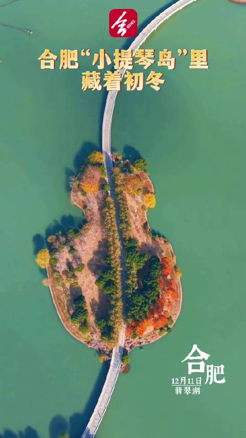 合肥小提琴岛藏着冬日惊喜