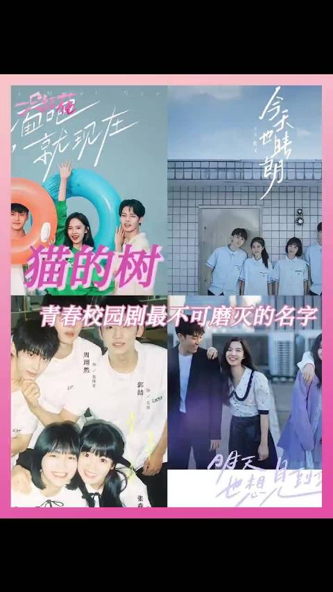 猫的树出品，必是精品，当我飞奔向你 今天是太阳雨 杨超越 董思成