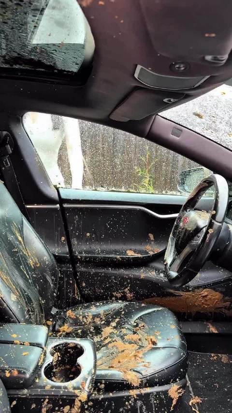 全网最硬核洗车！高压水枪怼爆特斯拉内饰，洗完一脚电门就跑