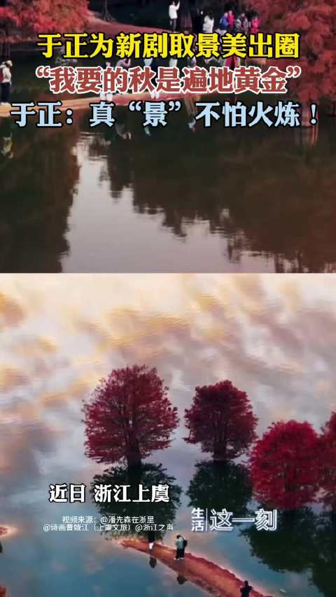 于正为新剧取景绝美秋景遍地黄金