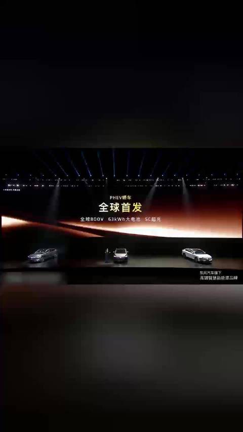 410km纯电续航 全球最长混动轿车纯电续航 一程直达 日行百里