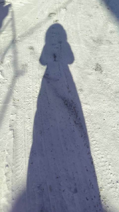 今天的小天儿嘎嘎冷，小风儿嗖嗖滴！