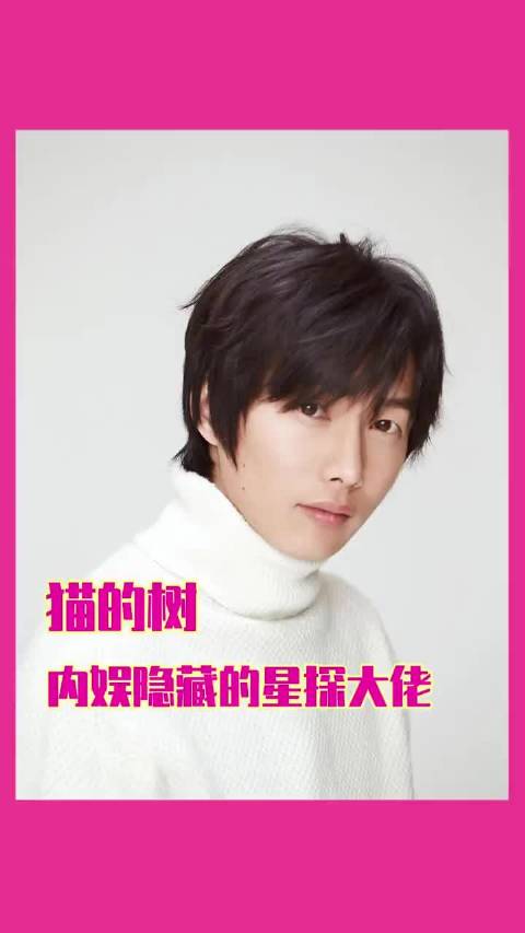 猫的树宇宙，内娱最成功的“星探计划”，白鹿 田曦薇 周翊然 宋威龙