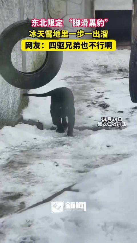 脚滑黑豹一步一出溜