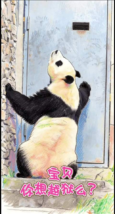 福宝扒牆疑越狱，徐福记小卖部外引关注