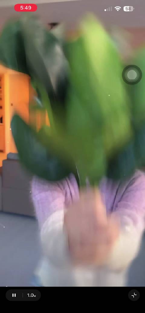 20251211 阿娇钟欣潼 XHS & DY 更新