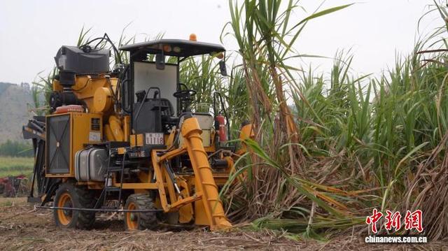 广西柳工集团生产的联合收割机。王以照 摄