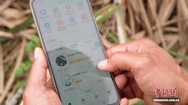 袁智陆正在操作“广西农机”小程序。王以照 摄