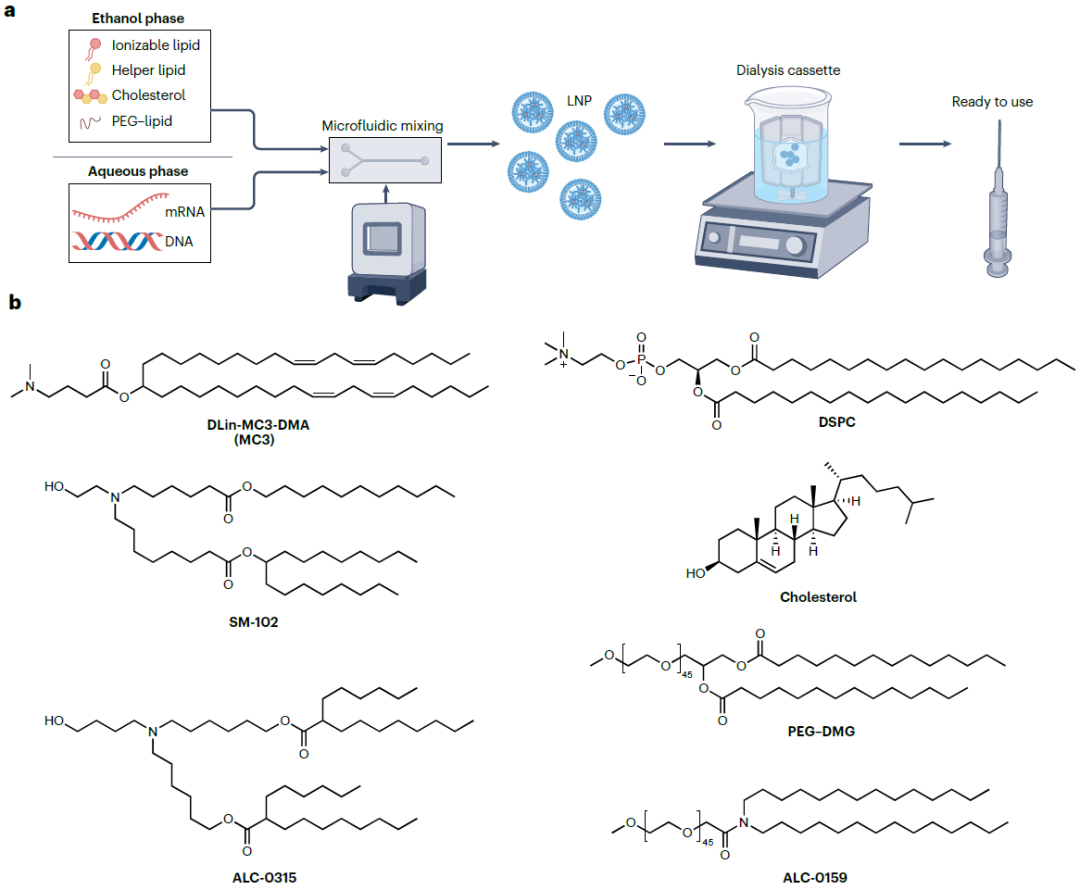 Figure 1 脂质纳米颗粒（LNP）的制备配方