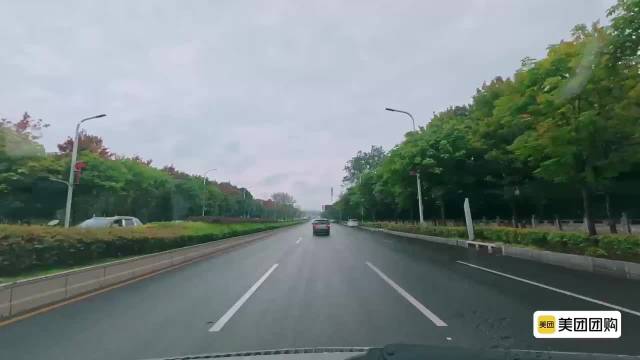 刘嘉玲曝四大天王不接突然来电，需提前短信告知